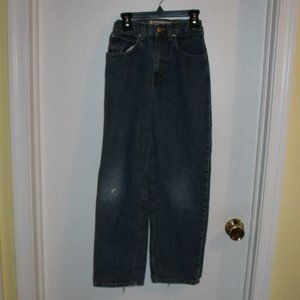 Boys Arizona Blue Jeans